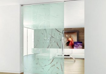 Раздвижные одностворчатые двери межкомнатные стеклянные